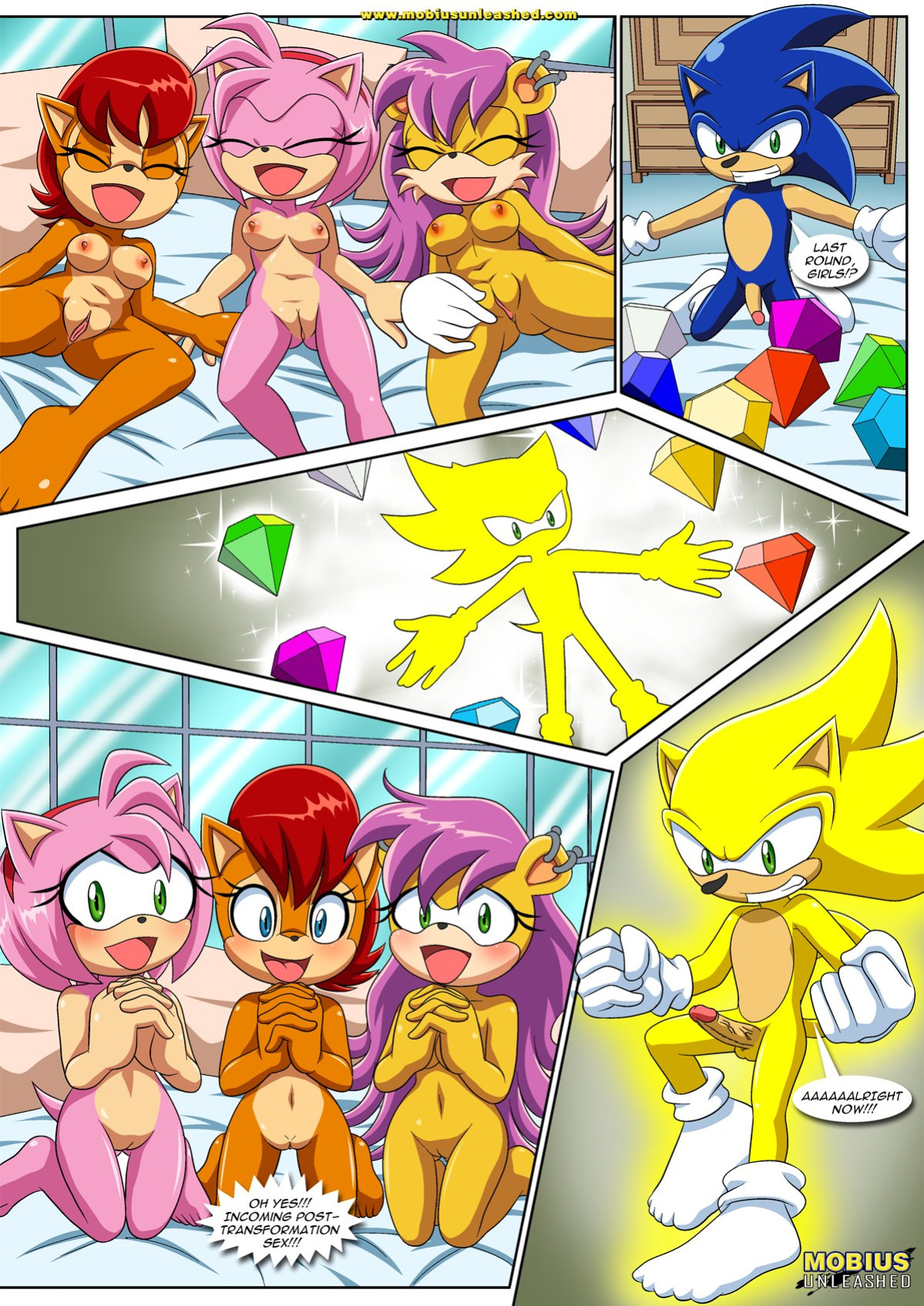 [Palcomix] Sonic Project XXX 4