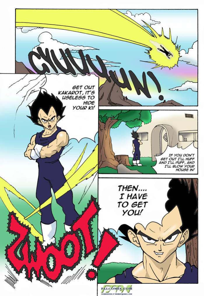 [Palcomix] Dragon Ball H