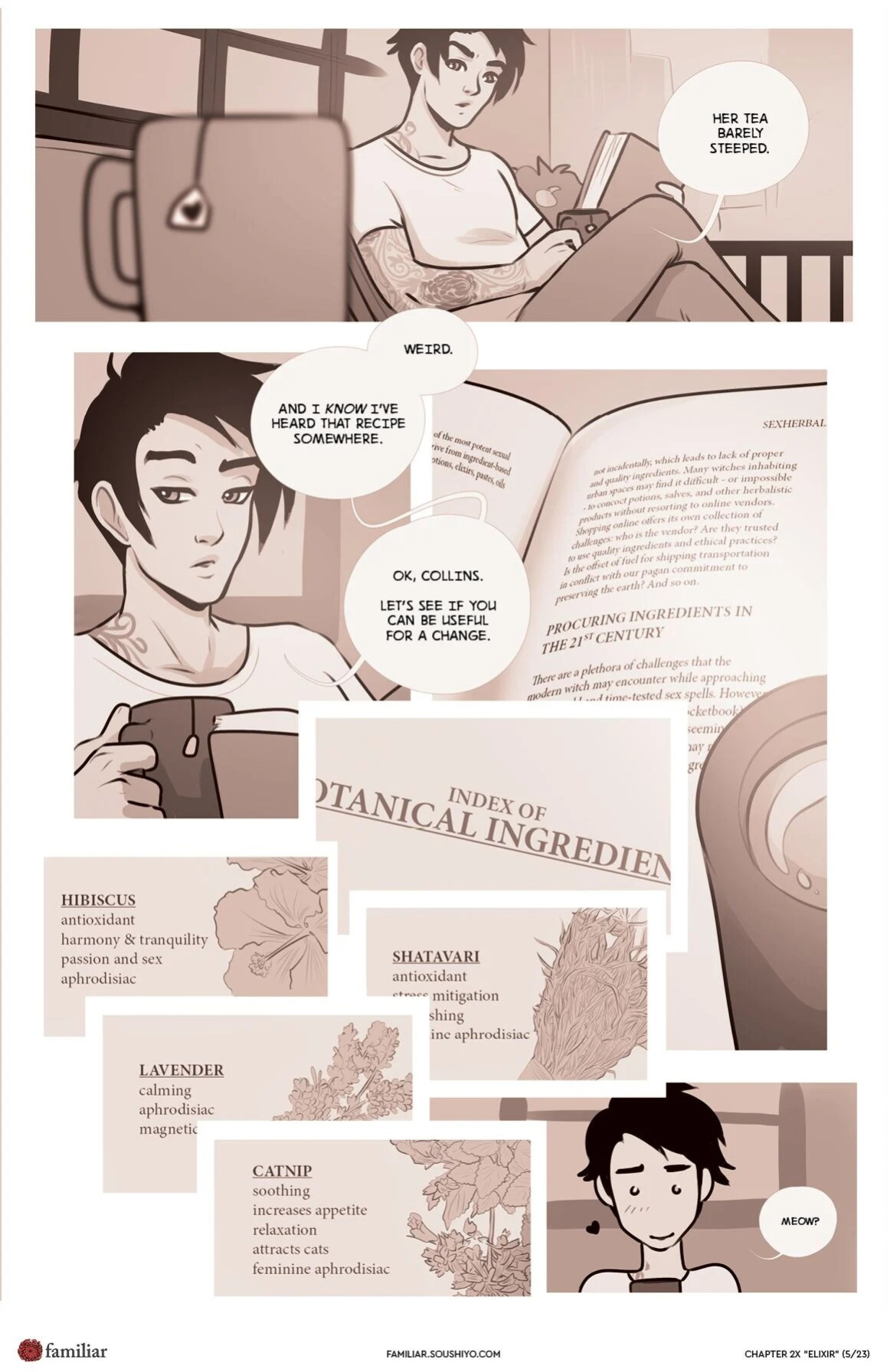 Familiar [Soushiyo] - Act 2 - Chapter 08.5 - Elixir - english