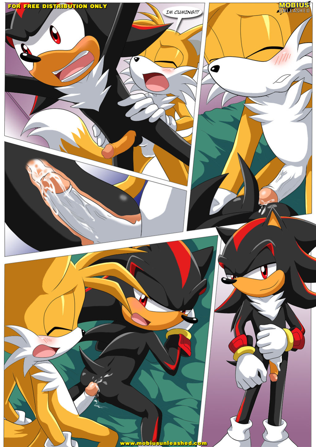 [Palcomix] Shadow & Tails