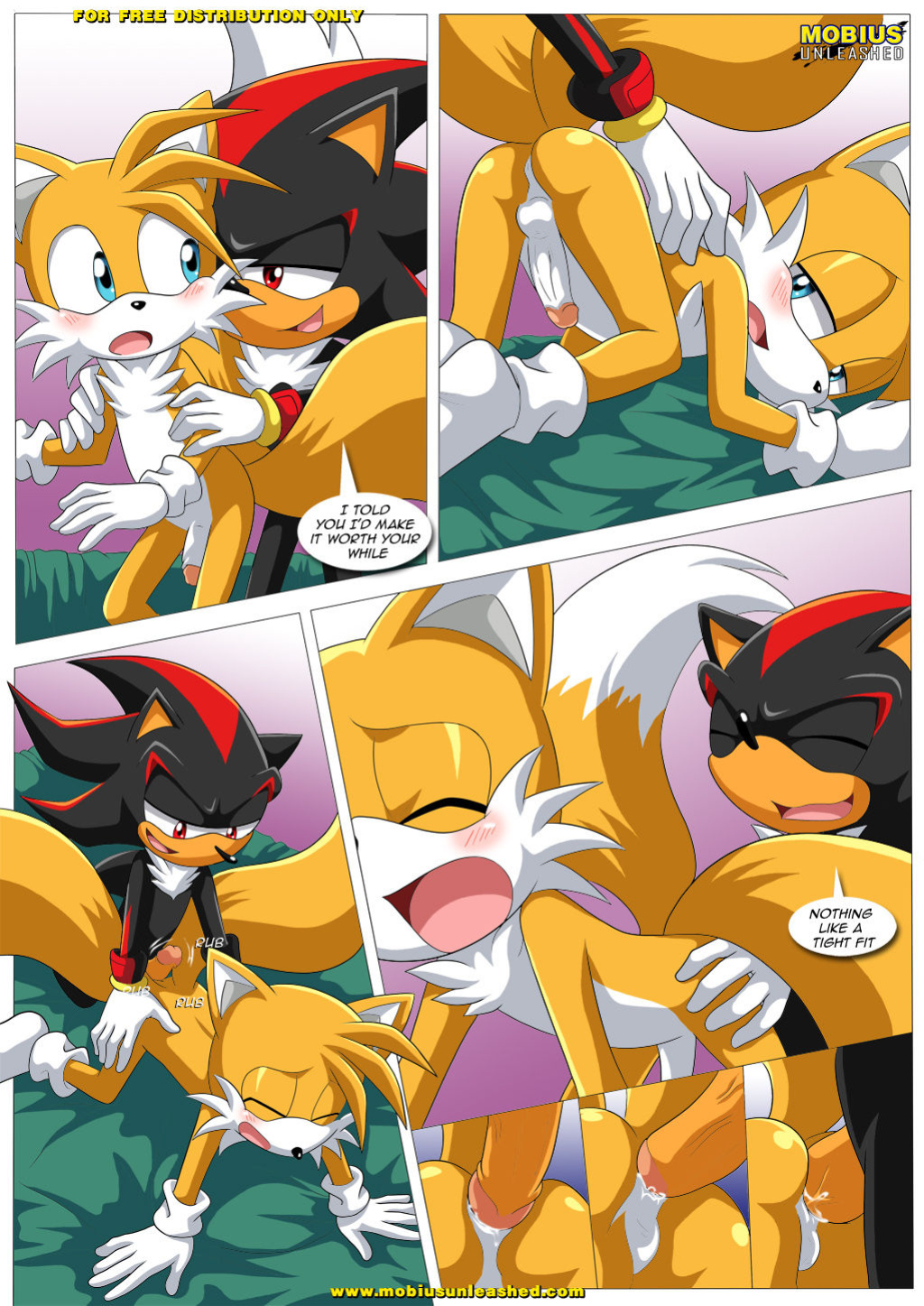 [Palcomix] Shadow & Tails