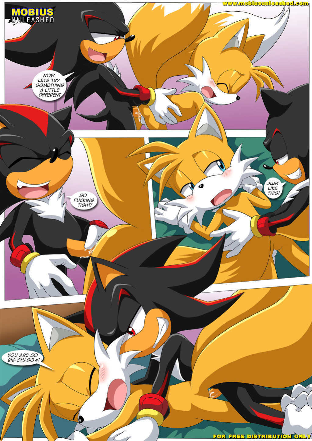 [Palcomix] Shadow & Tails