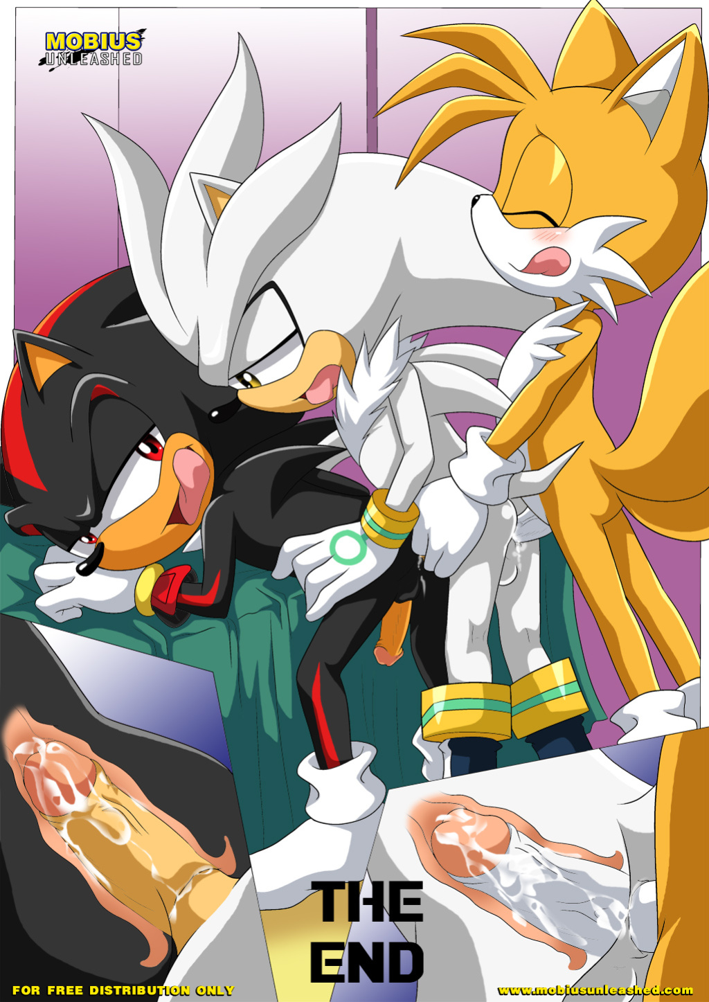 [Palcomix] Shadow & Tails