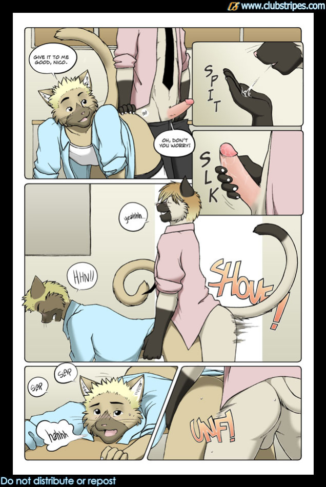 [Meesh] Man Love Mocha
