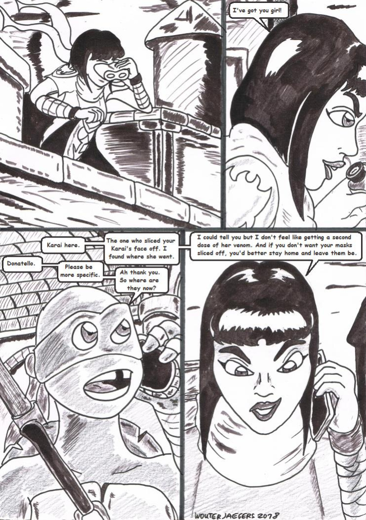 Teenage mutant Ninja Turtles: Karai versus Karai.