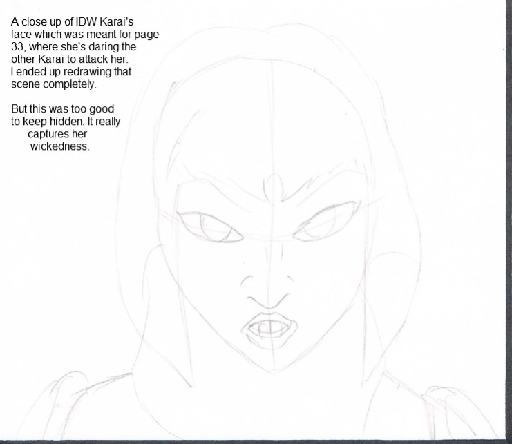 Teenage mutant Ninja Turtles: Karai versus Karai.