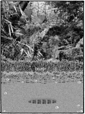 Barbi & The Island Curse 2