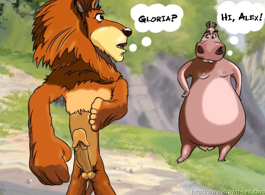 MADAGASCAR & THE KING LEON DRAWN SEX