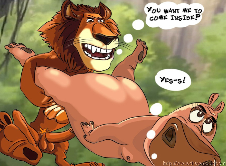 MADAGASCAR & THE KING LEON DRAWN SEX