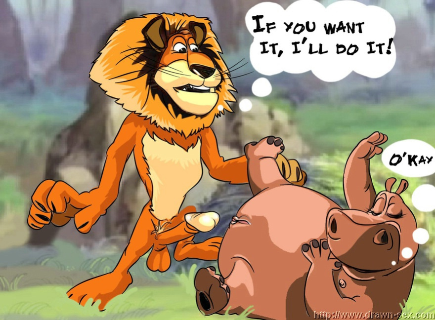 MADAGASCAR & THE KING LEON DRAWN SEX