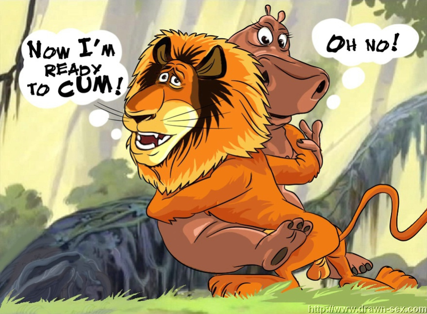 MADAGASCAR & THE KING LEON DRAWN SEX
