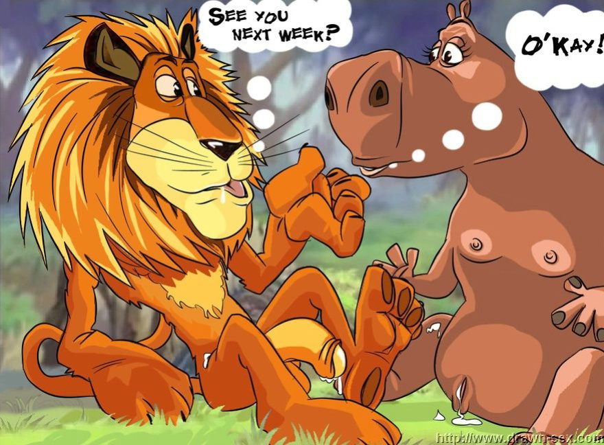 MADAGASCAR & THE KING LEON DRAWN SEX