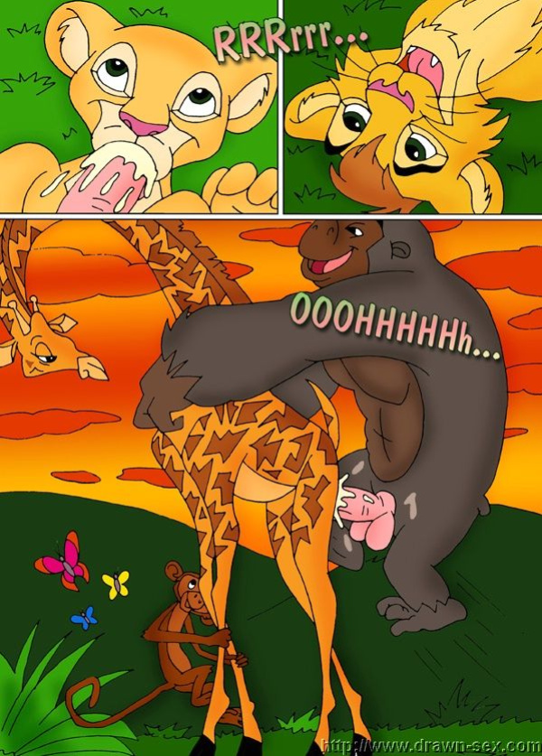 MADAGASCAR & THE KING LEON DRAWN SEX