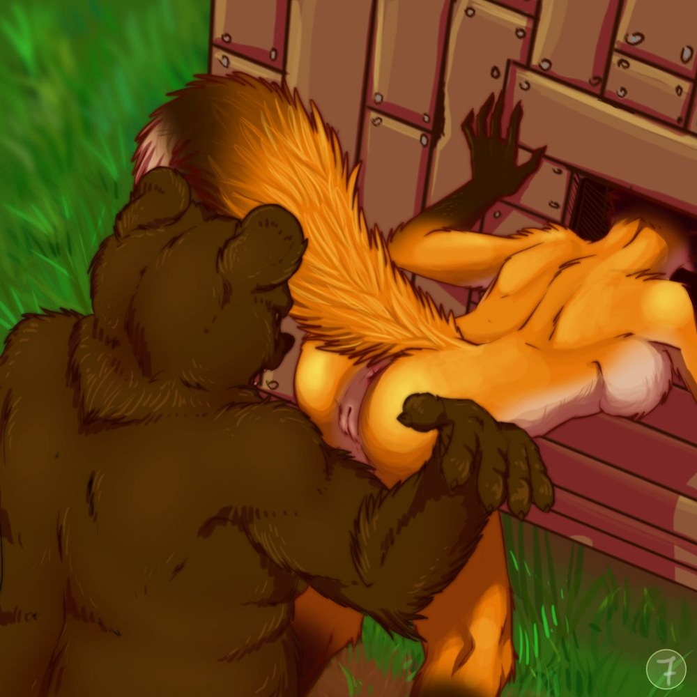 The Fox and The Bear