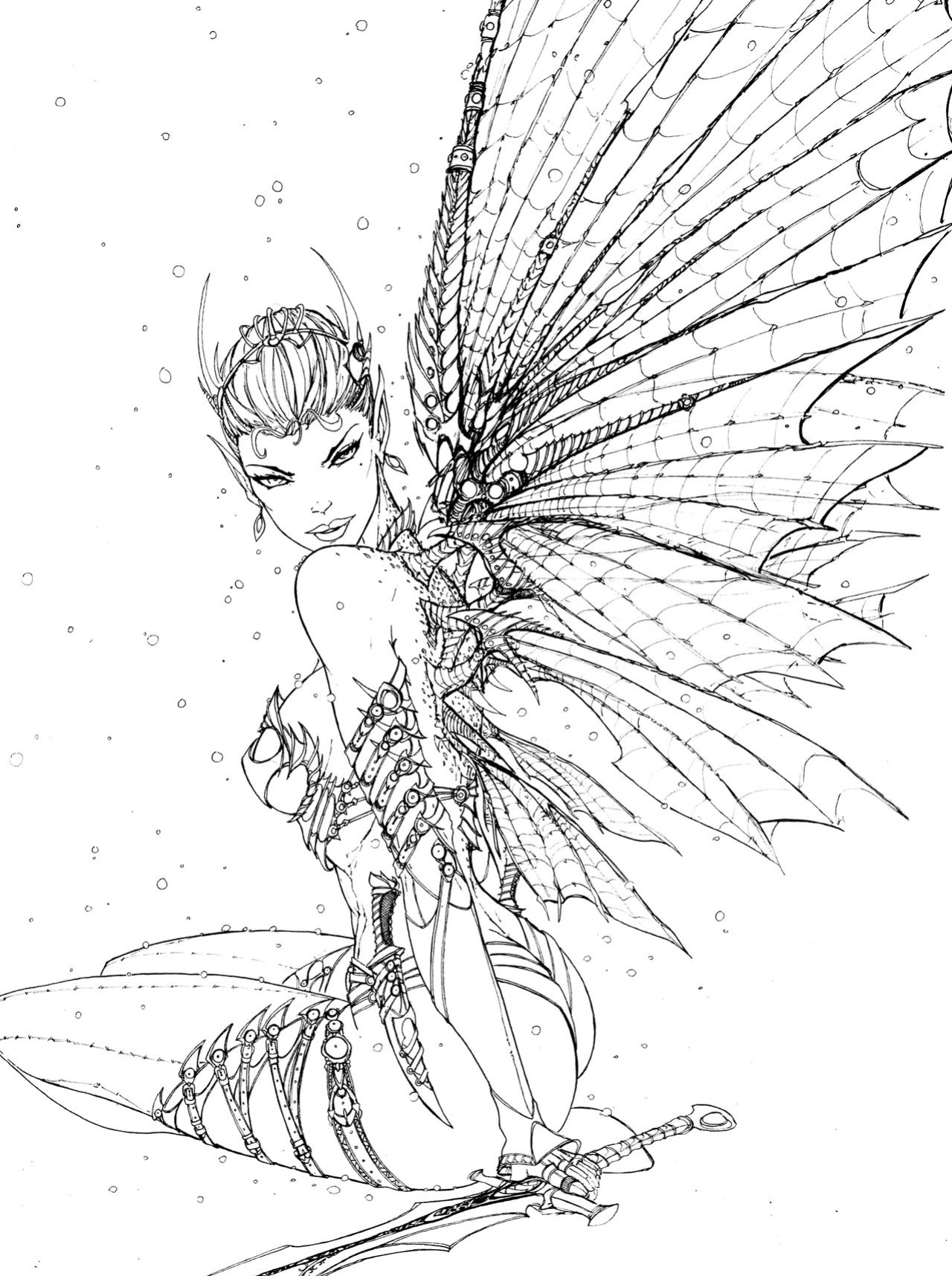 Grimm Fairy Tales Adult Coloring Book