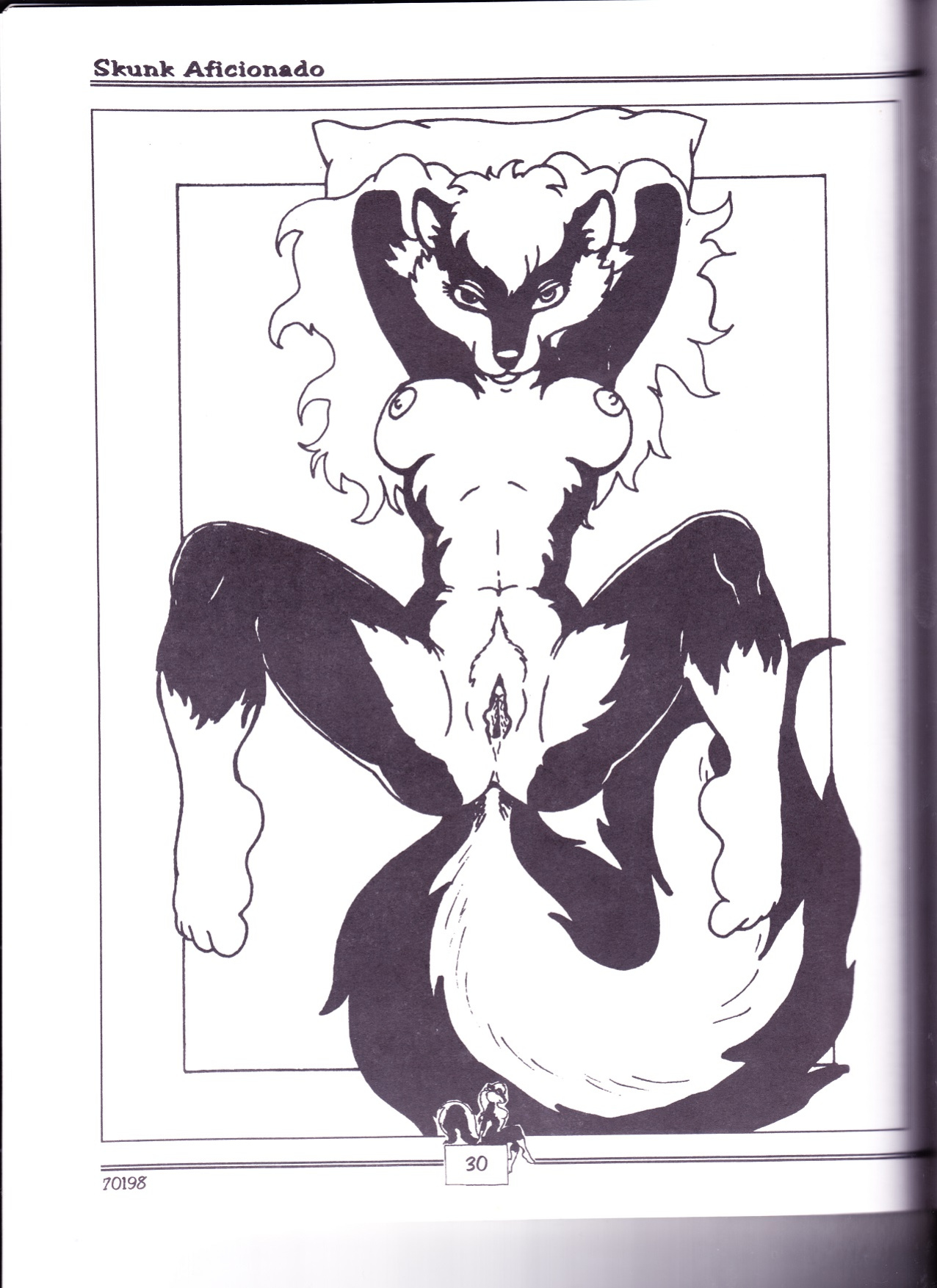 Skunk Aficianado 3