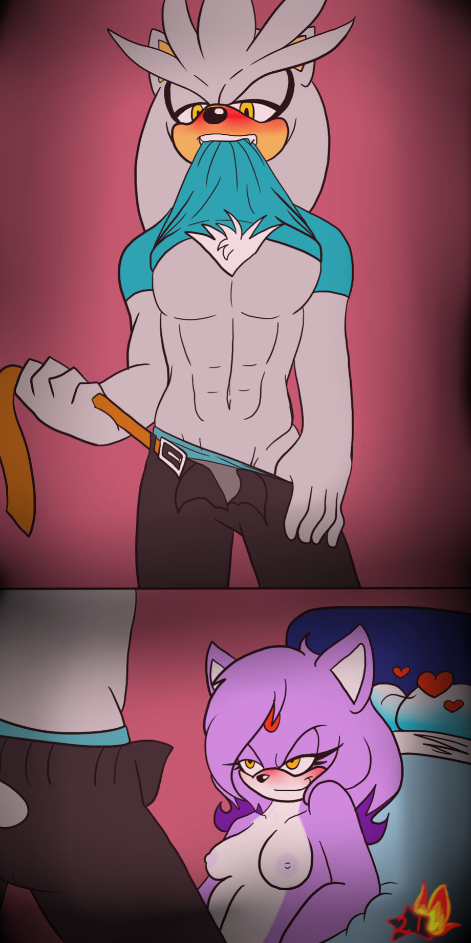 [chacumera] Silvaze (Sonic The Hedgehog)