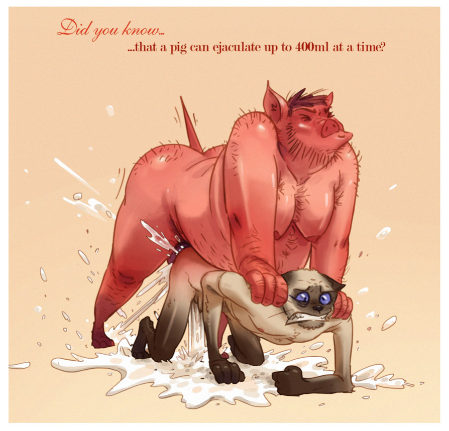 [Guffaw] Jean-Philippe and Eddie