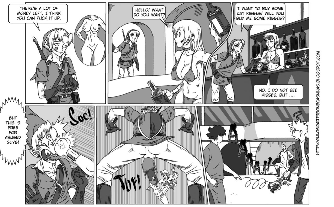 Legend of Zelda Link's Dream