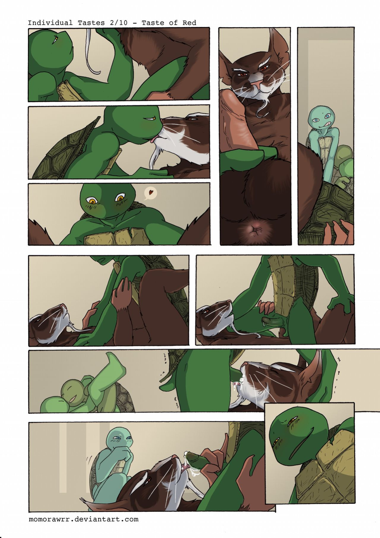 [momorawrr] Individual Tastes