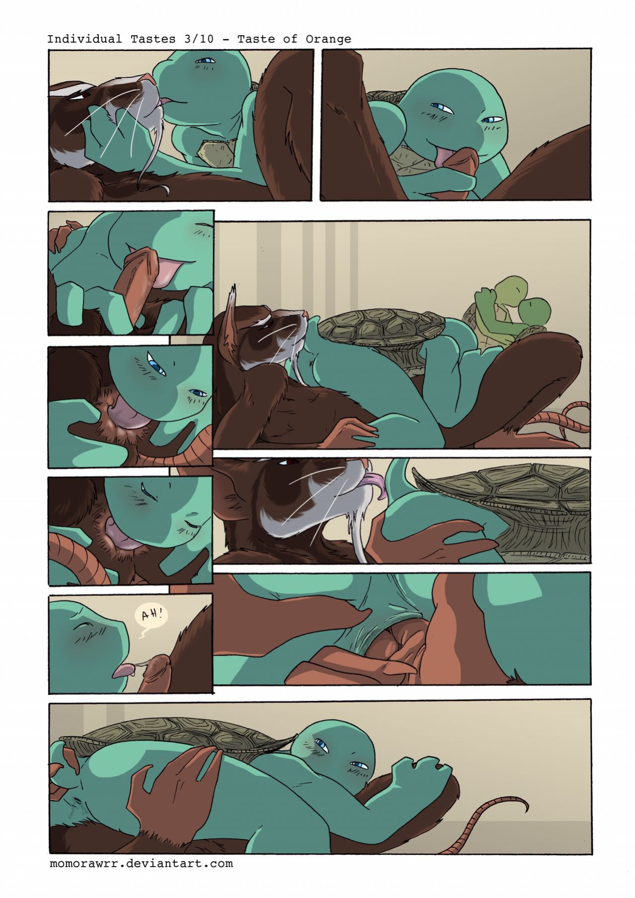 [momorawrr] Individual Tastes