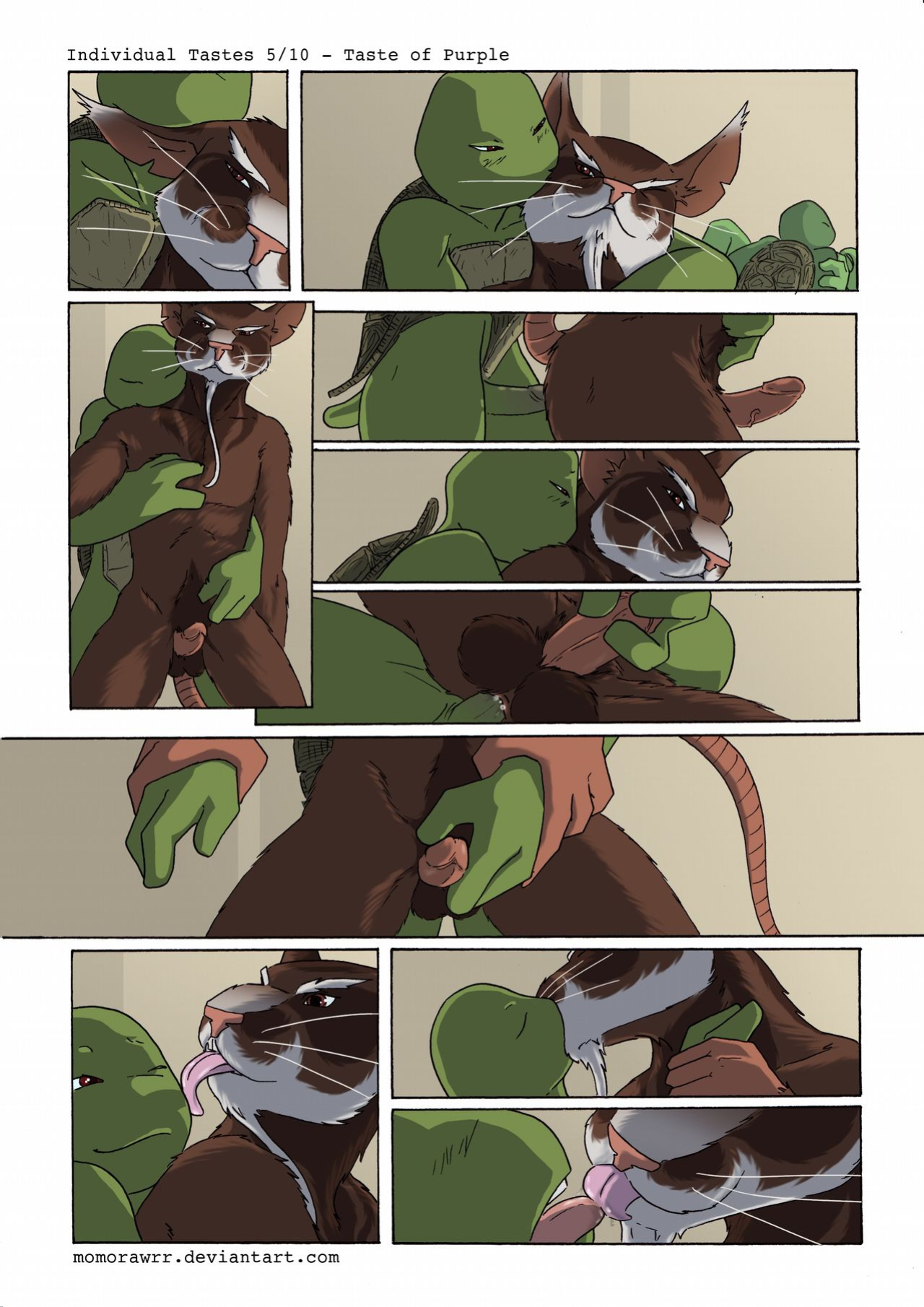 [momorawrr] Individual Tastes