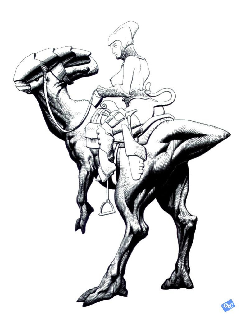[Frank Cho] Illustrator