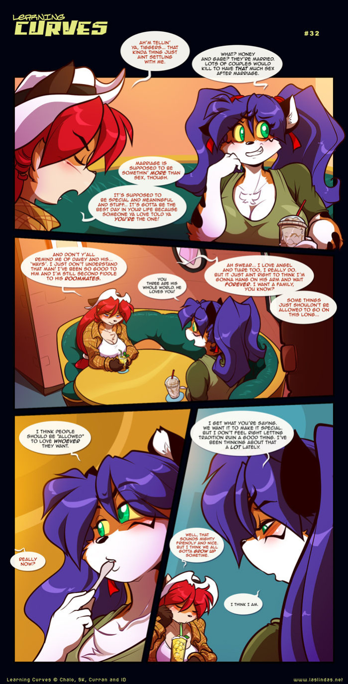 [Chalo] Learning Curves