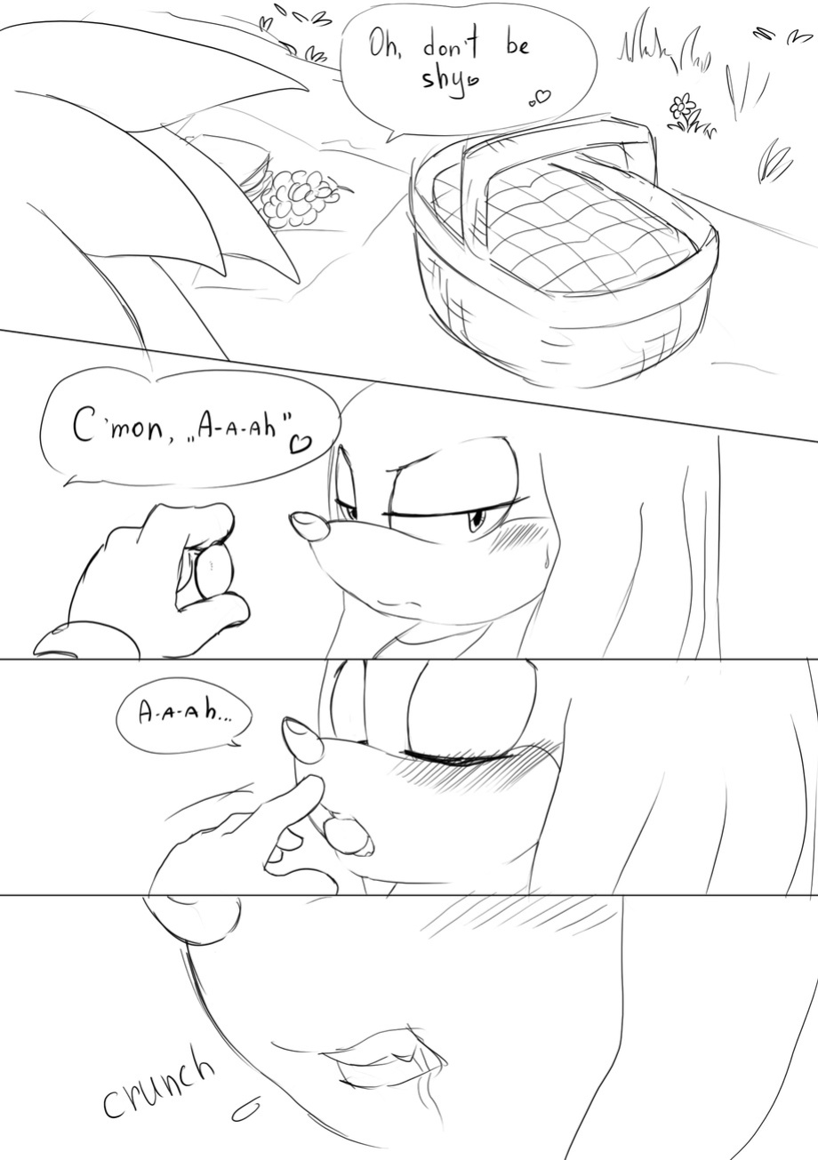 knuxonic comic [KrazyElf]