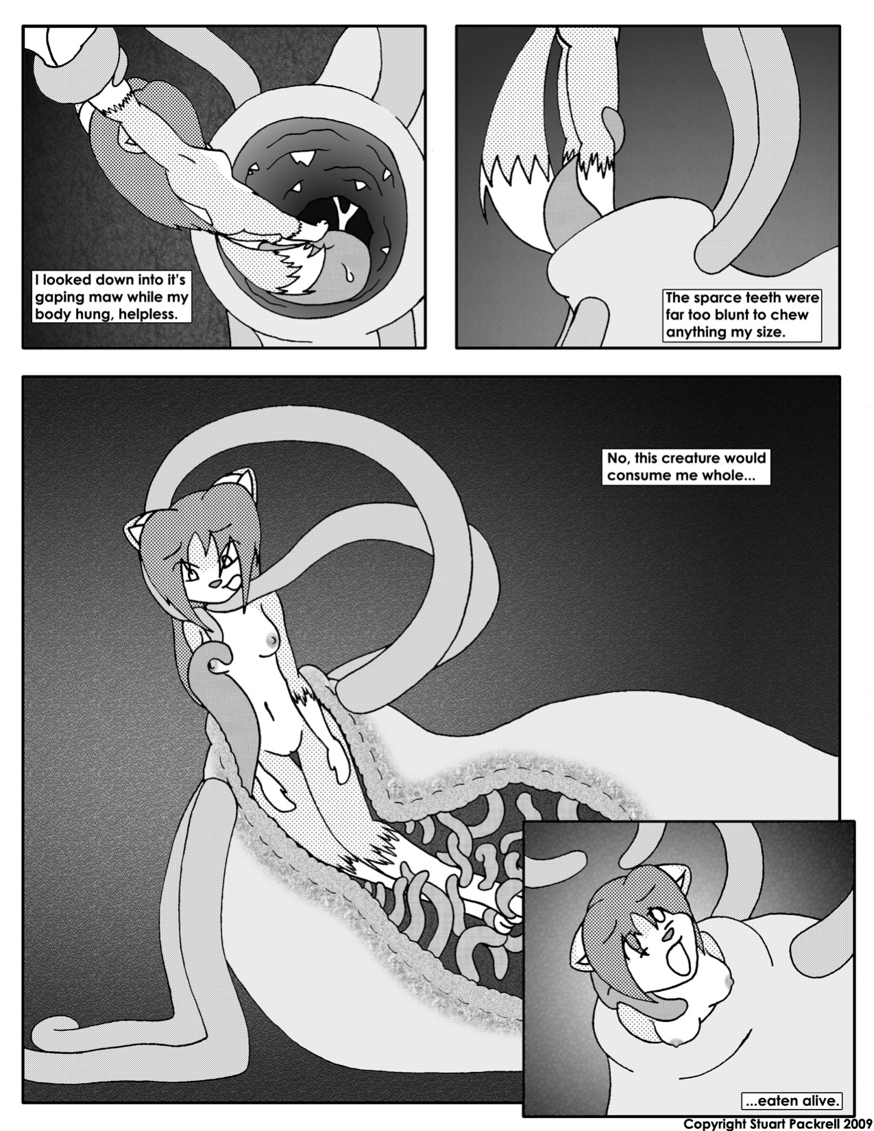 [Terdburgler] Linda Wright & The Wriggling Jungle