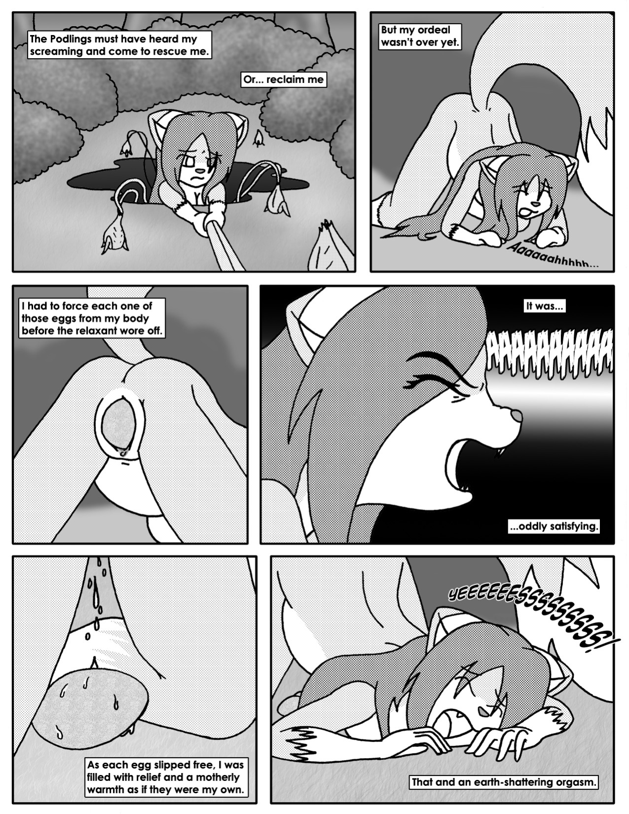 [Terdburgler] Linda Wright & The Wriggling Jungle
