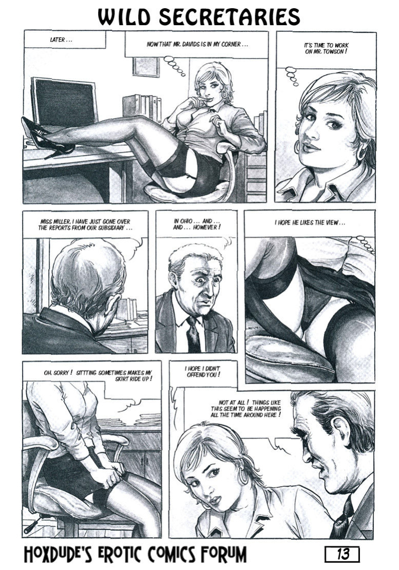WILD SECRETARIES - BY CHRIS - ENGLISH TRANSLATION