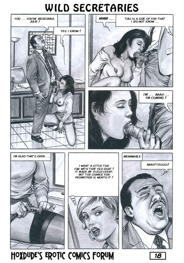 WILD SECRETARIES - BY CHRIS - ENGLISH TRANSLATION