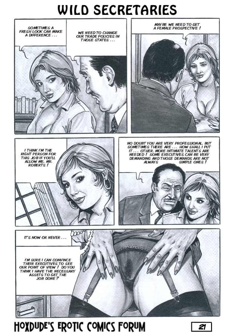 WILD SECRETARIES - BY CHRIS - ENGLISH TRANSLATION