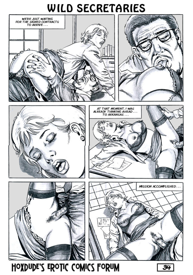 WILD SECRETARIES - BY CHRIS - ENGLISH TRANSLATION