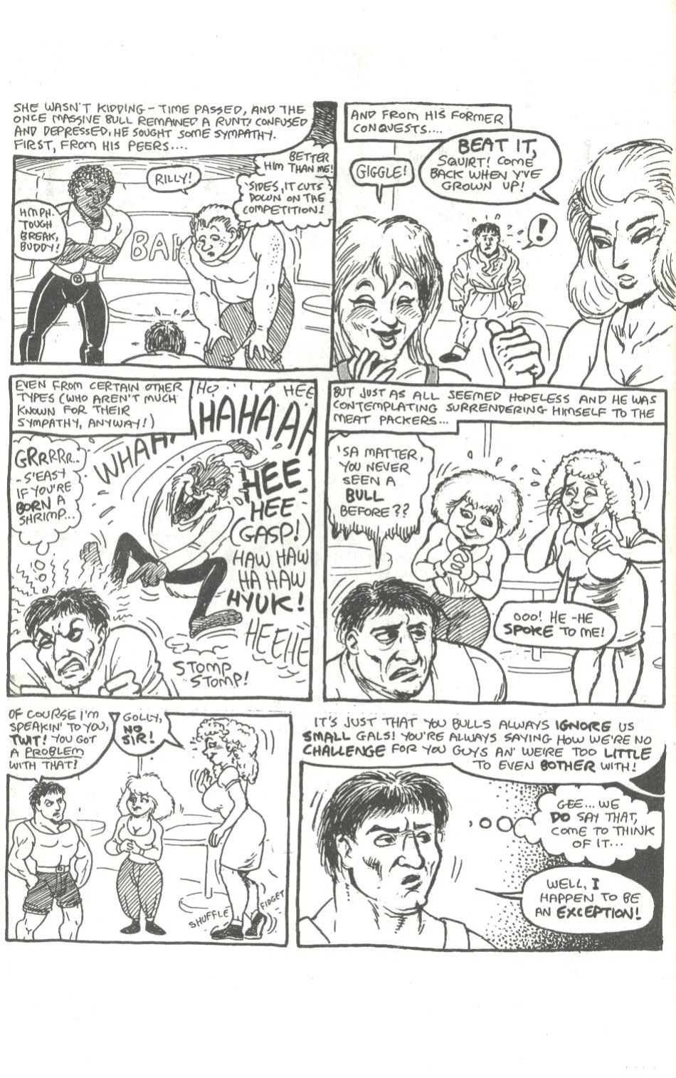 big funnies volume 5