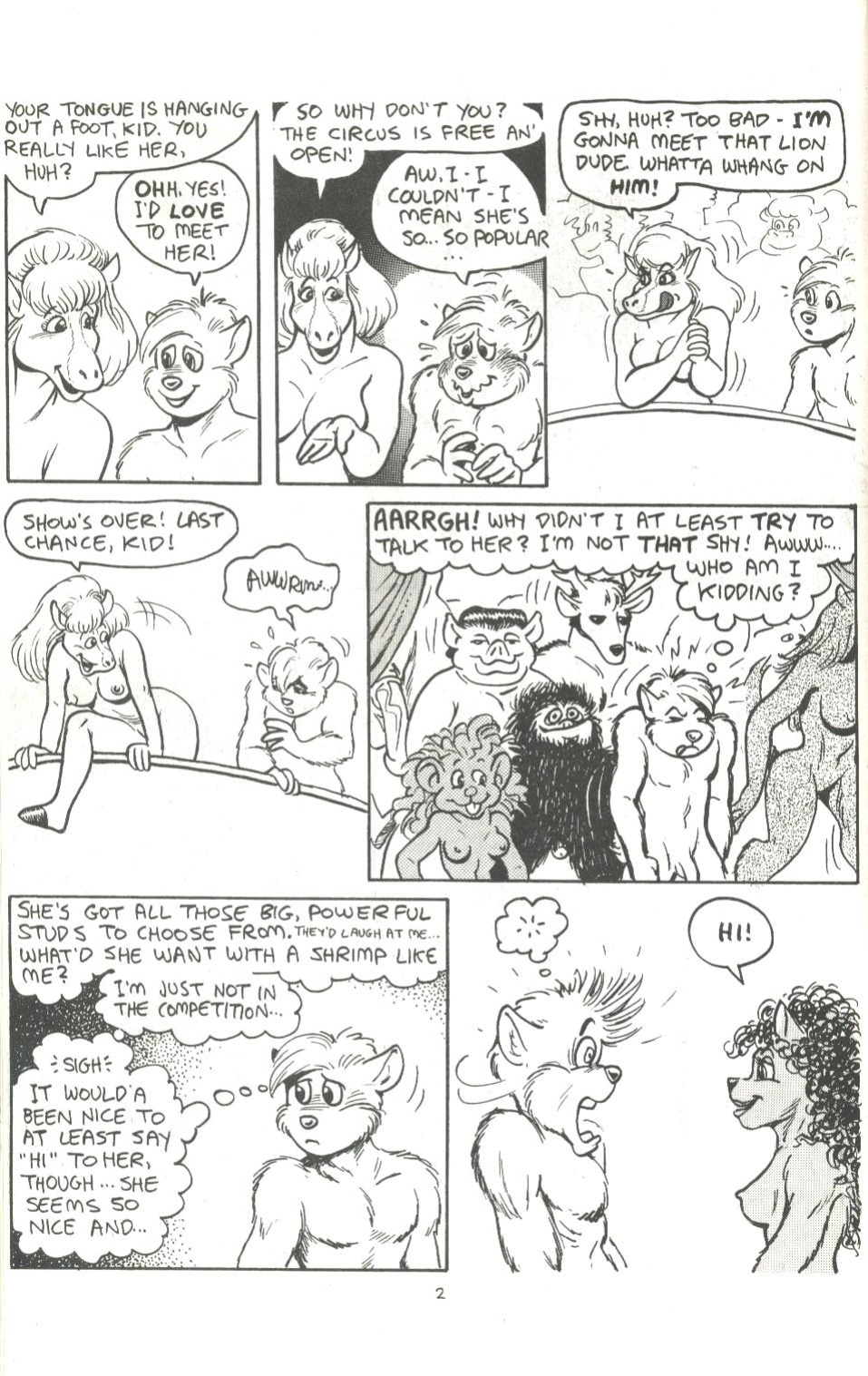 big funnies volume 5