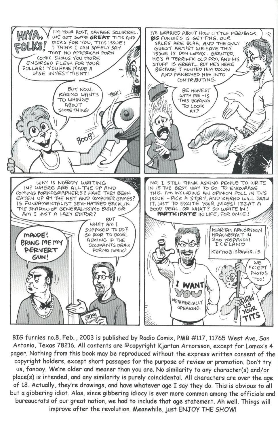 big funnies volume 8