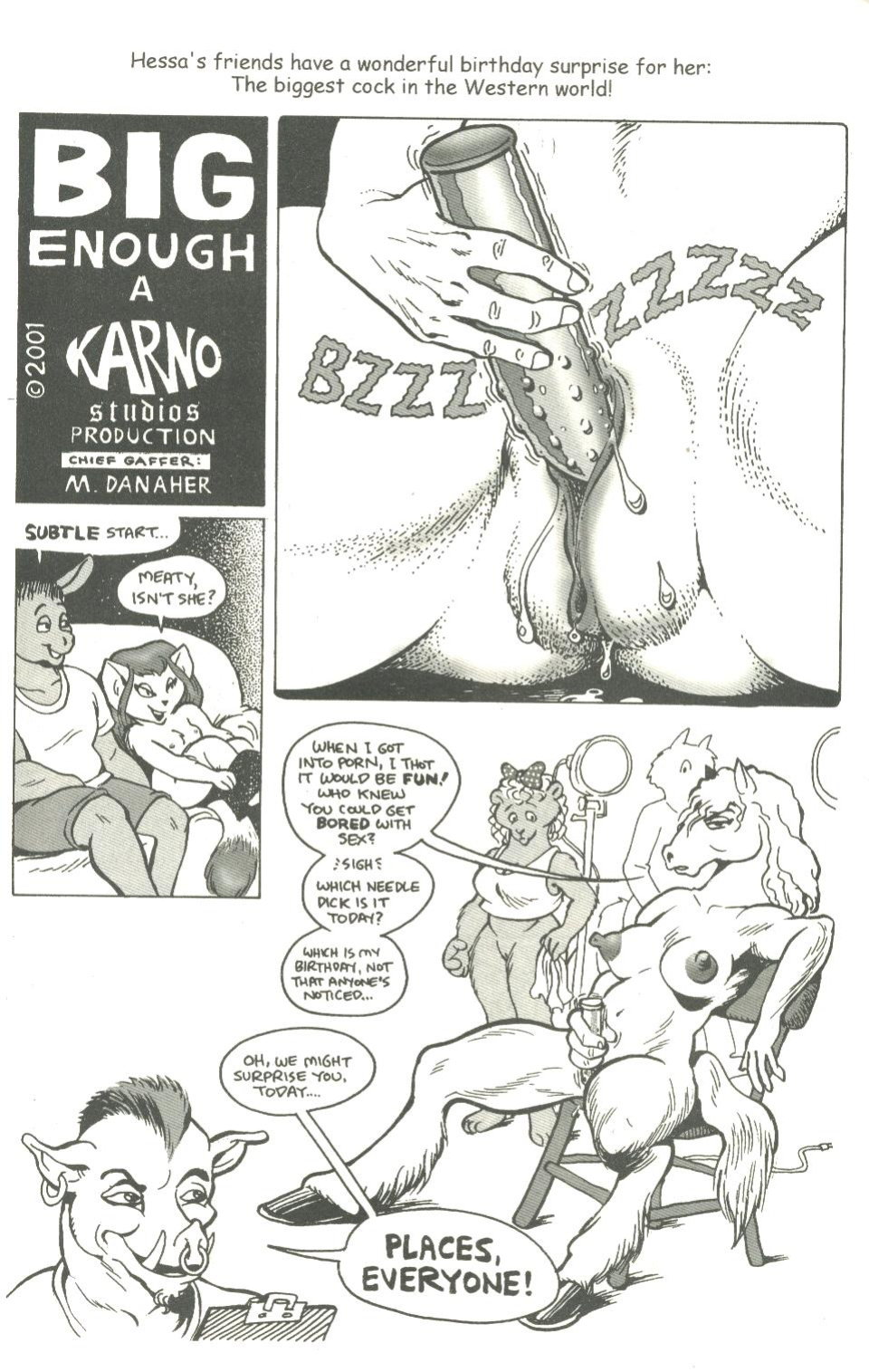 big funnies volume 8