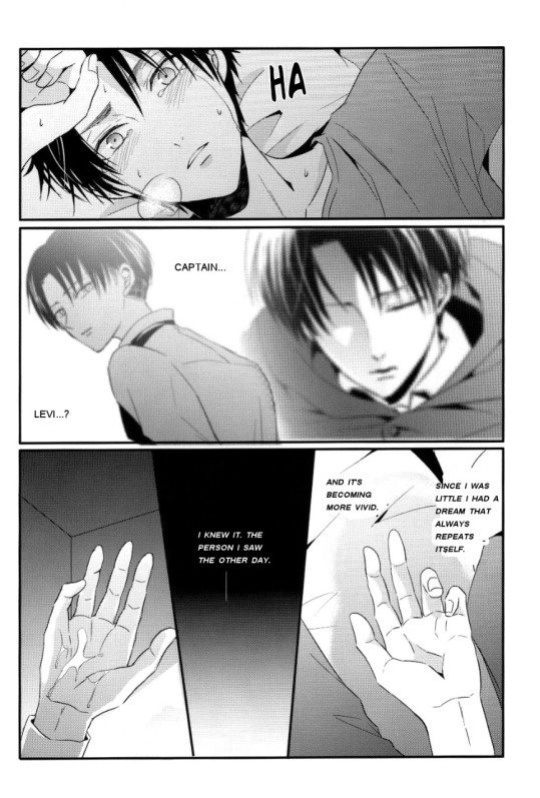 (Dai 4 Kai Hekigai Chousa Haku) [UNAP! (Maine)] Control (Shingeki no Kyojin)