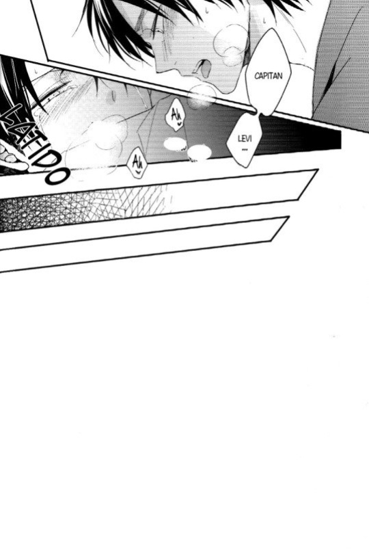 (Dai 4 Kai Hekigai Chousa Haku) [UNAP! (Maine)] Control (Shingeki no Kyojin)