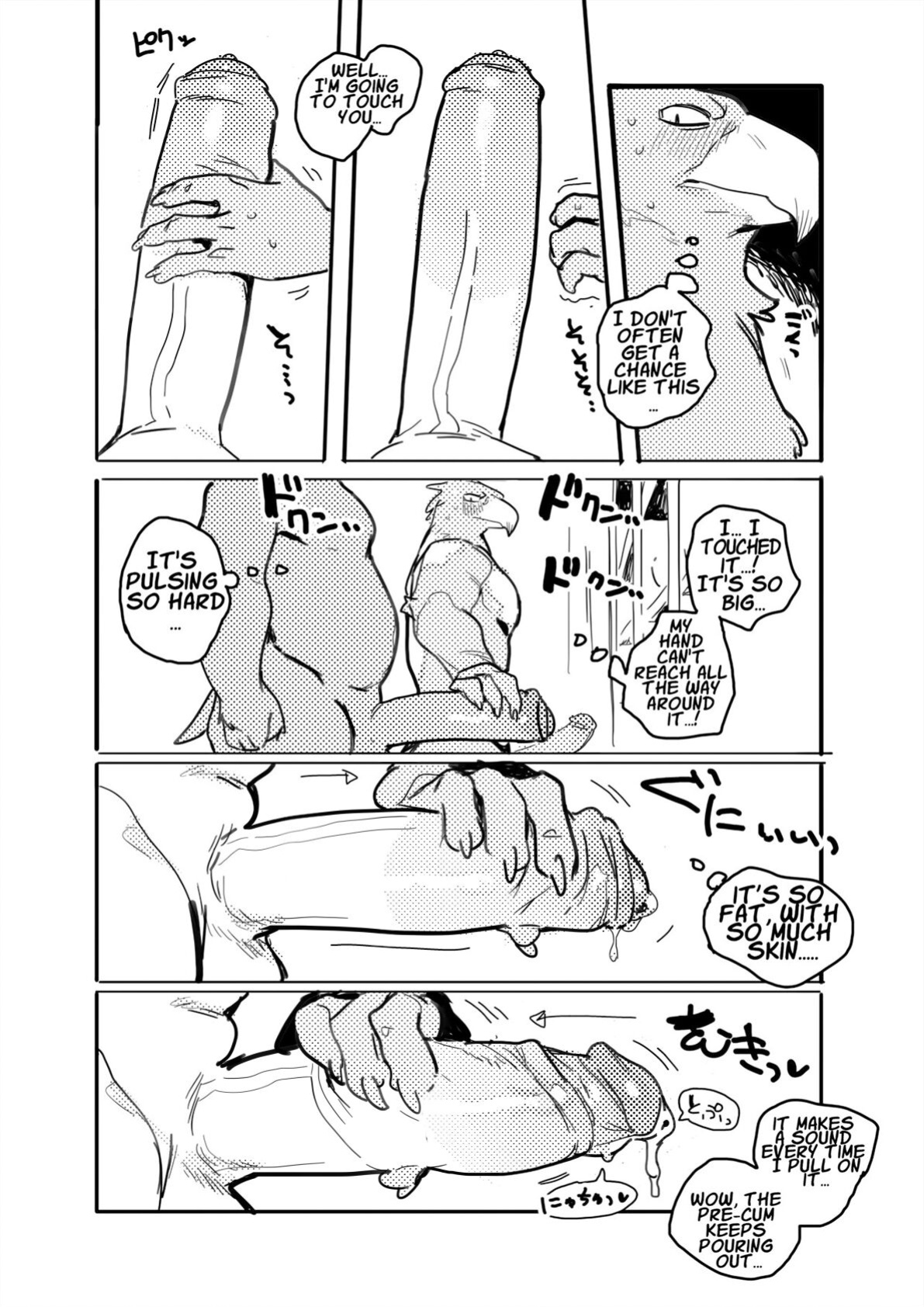 Pelican and White-tailed Eagle[Uncensored]