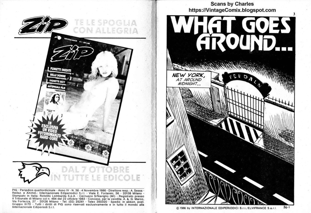PIG #36 "WHAT GOES AROUND" - ENGLISH