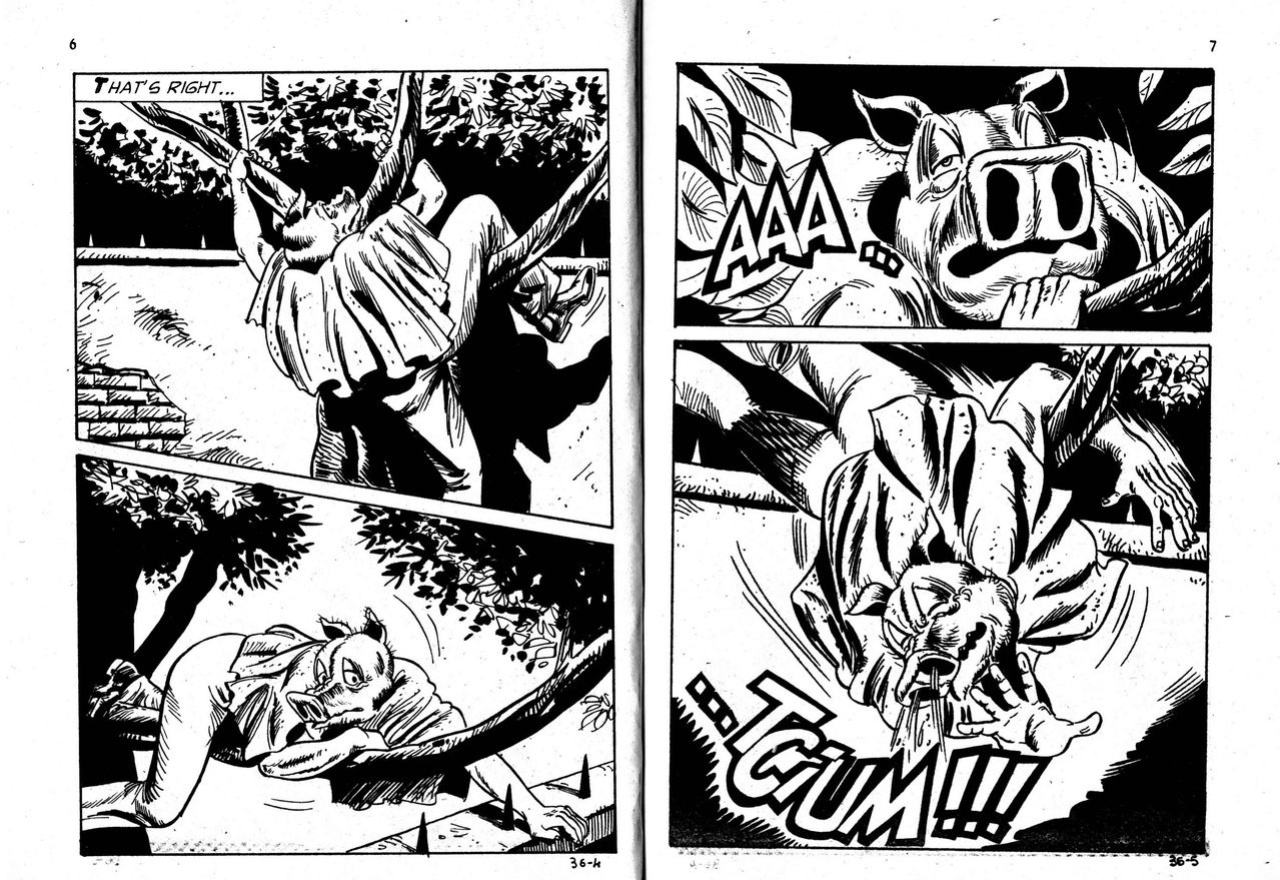 PIG #36 "WHAT GOES AROUND" - ENGLISH