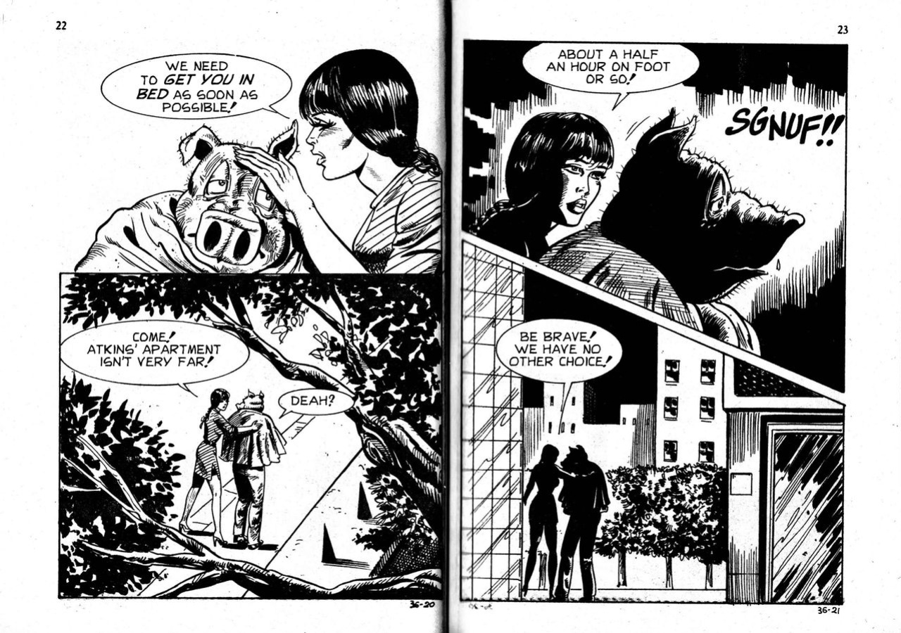 PIG #36 "WHAT GOES AROUND" - ENGLISH