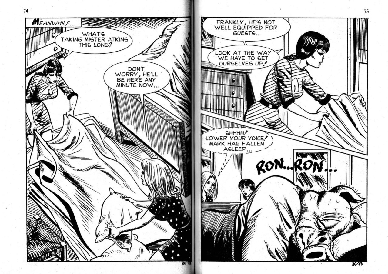 PIG #36 "WHAT GOES AROUND" - ENGLISH