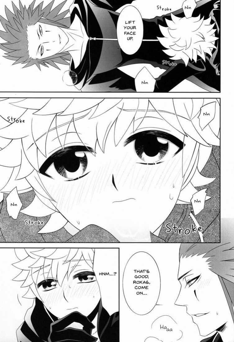 (C78) [CUBE (hana)] Apprehension (Kingdom Hearts) [arix]