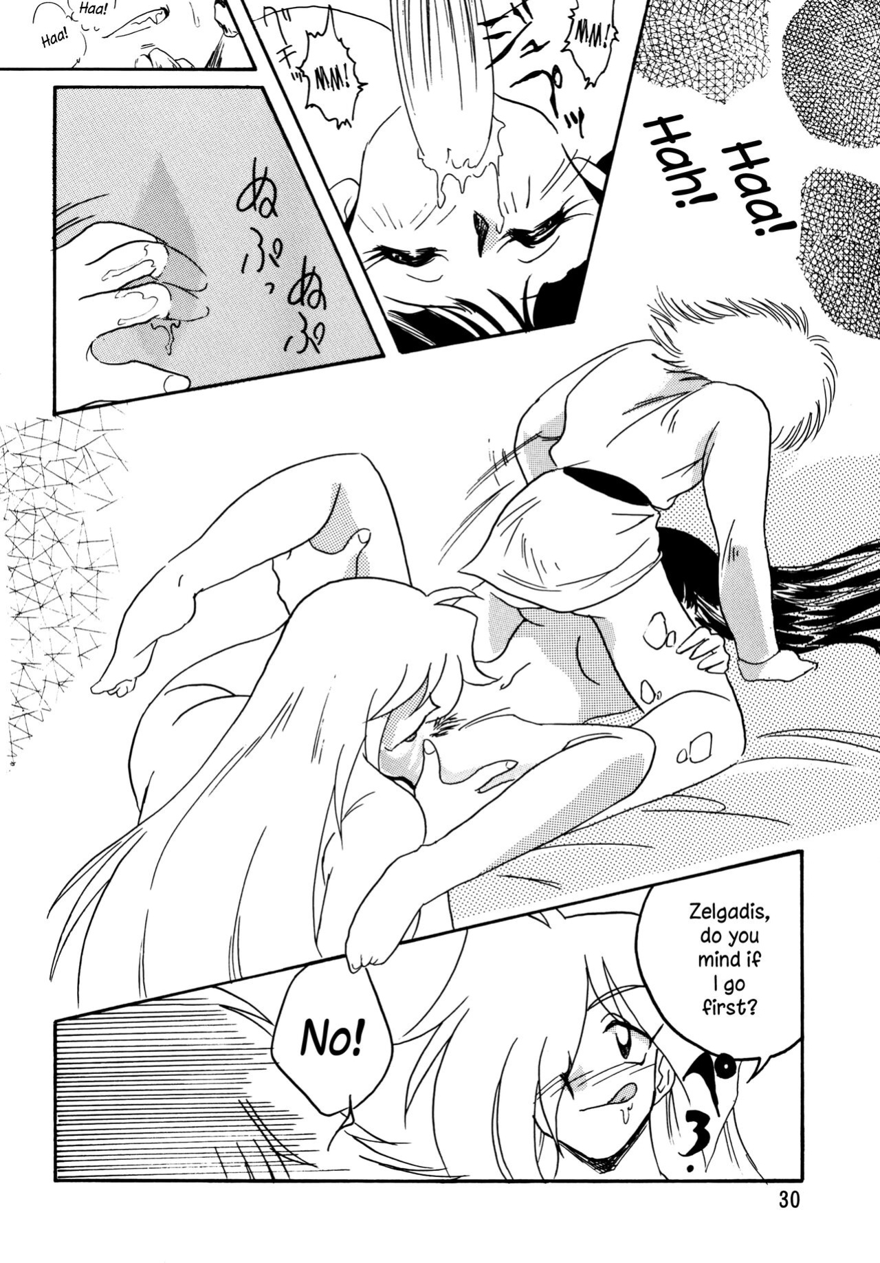 [Ginmomodou (Mita Satomi)] SLAYERS ADULT 5 (Slayers) [EHCOVE]