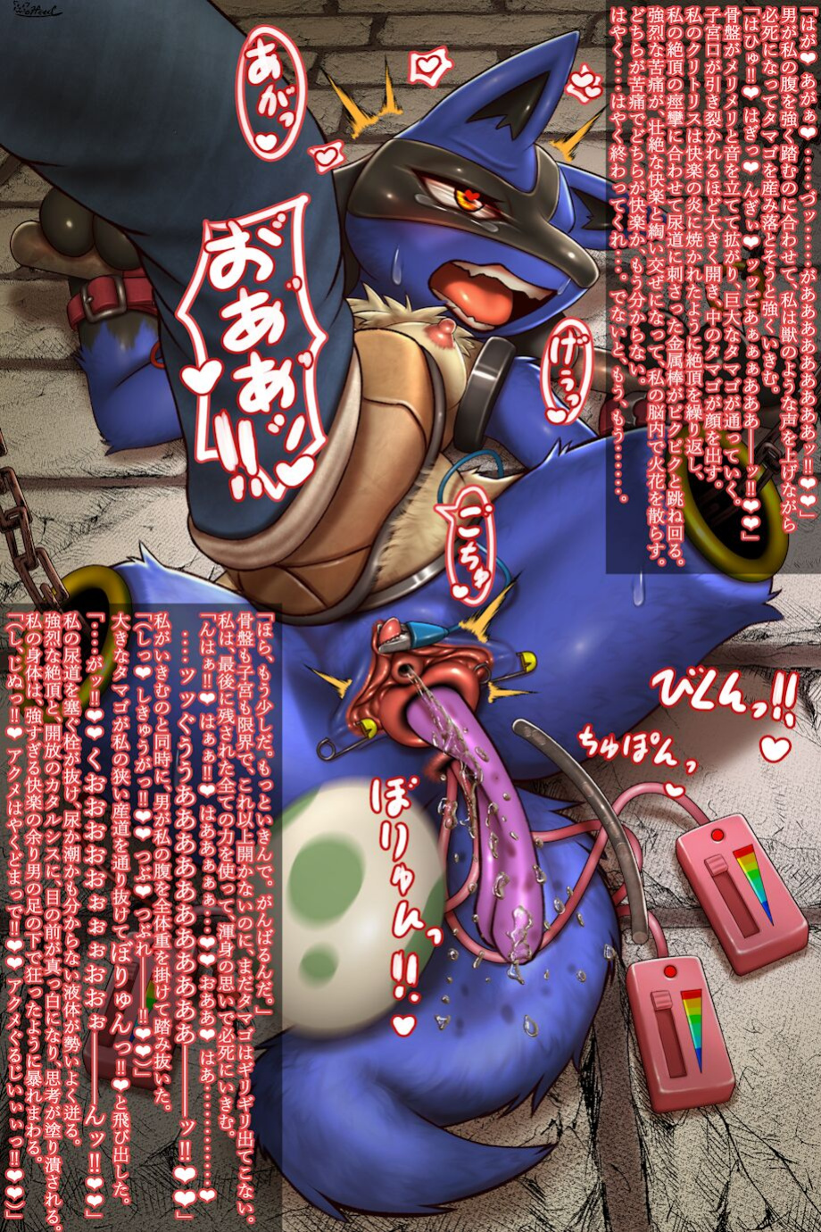 [Wolfeed] Lucario and Ditto