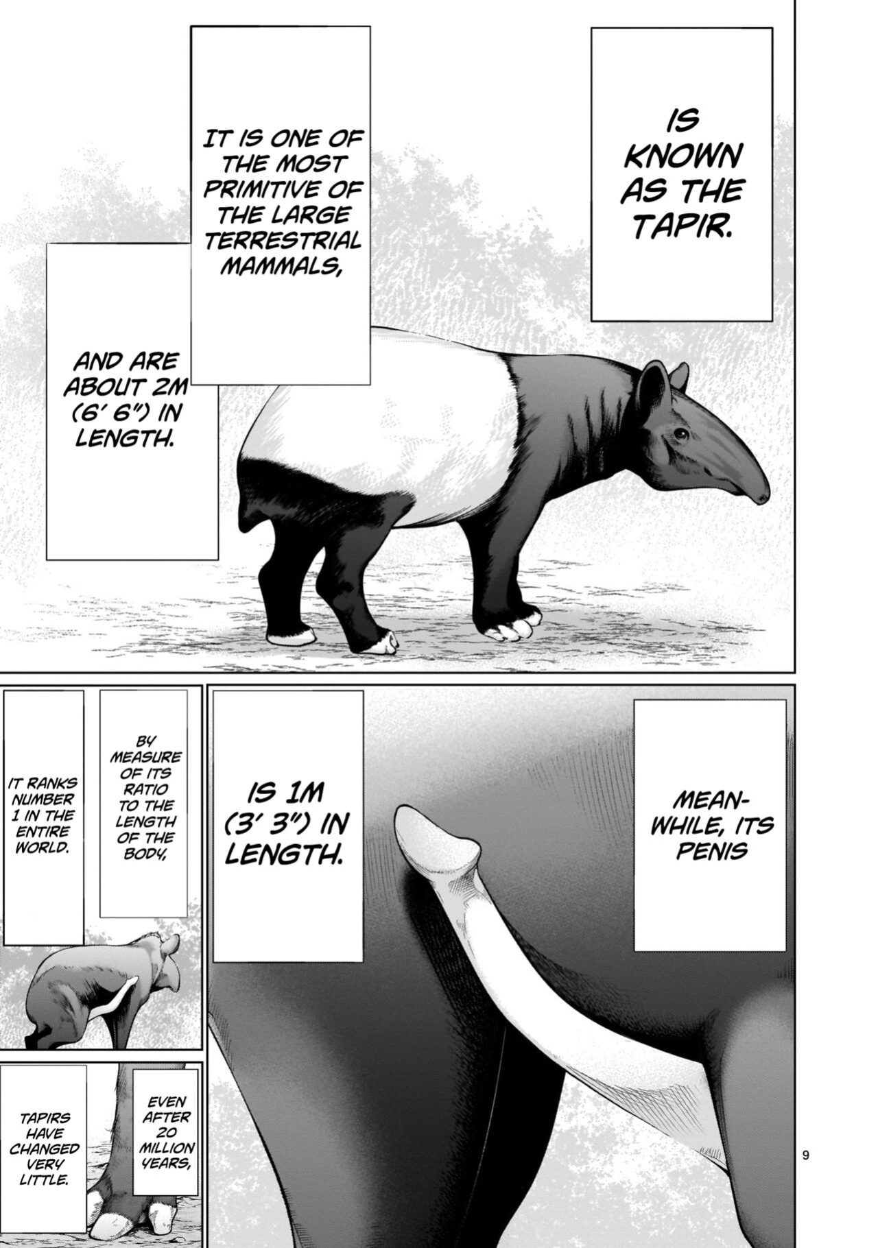 [Wild Heroes] (Sumita Kazuasa, Shinya Murata) Isn't It Too Much? Inaba-san/Hoshi Gari Sugidesho? Inaba-san chapter 11 [Roadwarior2]
